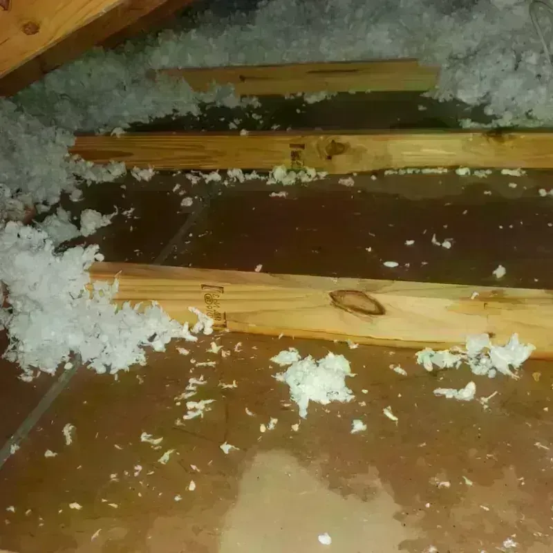 Attic Water Damage in Markham, IL