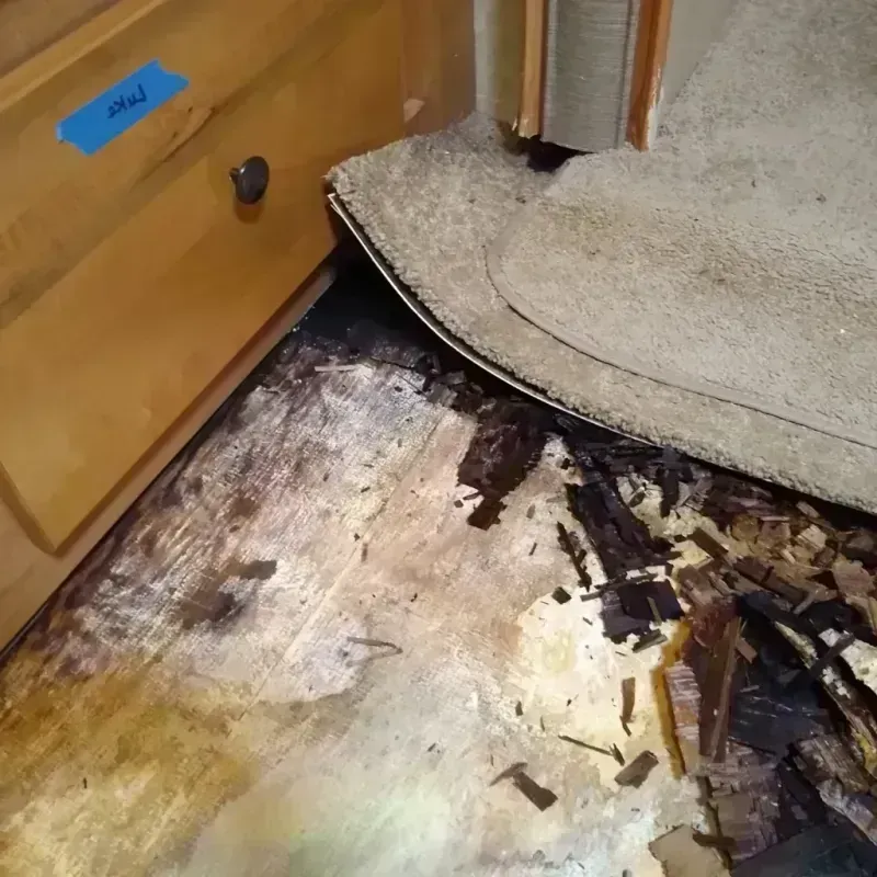 Best Wood Floor Water Damage Service in Markham, IL